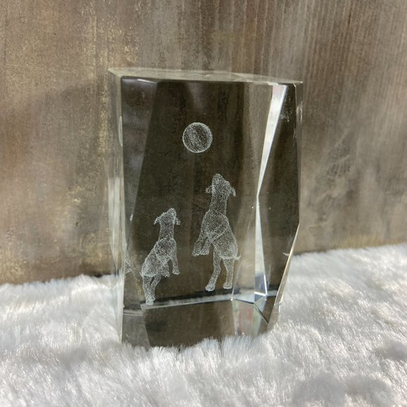Playing Dogs Ball Puppies Laser Etched Crystal Glass Rectangle Paperweight 3D - Picture 2 of 10